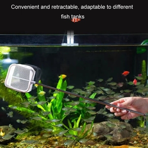 Hot Bán 3D Fish Tank Fishing <span class=keywords><strong>Net</strong></span> Thép Không Gỉ Có Thể Thu Vào Cá Tôm Cá Túi Lưới - Product Image 4