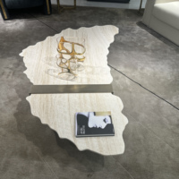Meubles de conception d'art irrégulier grande table basse en marbre Table basse traditionnelle Table basse en pierre pieds en acier inoxydable