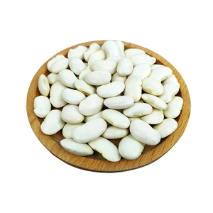 TBH <span class=keywords><strong>Bio</strong></span> Amilase Inhibitor 1000 U/G 10000 U/G White Kidney Bean Extract para el producto de pérdida de peso - Product Image 3