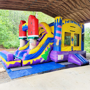 Château Gonflable Commercial Humide/Sec pour Enfants, Combo Toboggan Aquatique Glacé, Capacité 500KG, Personnalisable - Product Image 2