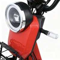 Vélo Électrique Adulte 500W en Gros d'Usine, 2 Places, en Acier Carbone, pour Commuter en Ville, Logo Personnalisé