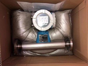 Medidor de Flujo E+H Proline Promag 10L Endress Hauser - Product Image 5
