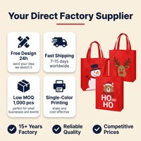Sacs fourre-tout de Noël en PP non tissé, taille moyenne, ouverts en haut, écologiques, réutilisables, avec logo personnalisé, vente en gros, pour les achats de fin d'année
