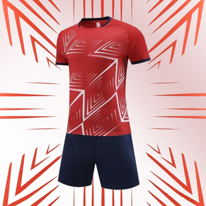 Ensemble de vêtements de football, maillot d'entraînement pour adultes à séchage rapide et anti-transpiration, avec flocage, expédition directe d'usine - Product Image 5