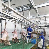 Machine d'abattoir pour moutons et chèvres avec composants de base de convoyeur à pattes avant, y compris moteur à roulement pour abattoir