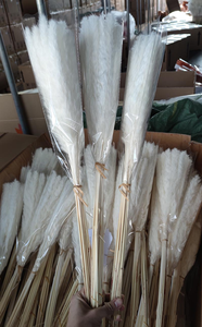 N-113 Long-Durable Boho <span class=keywords><strong>Fleurs</strong></span> <span class=keywords><strong>Séchées</strong></span> <span class=keywords><strong>Bouquet</strong></span> Maison <span class=keywords><strong>De</strong></span> Mariage Décor Naturel Pampas Herbe <span class=keywords><strong>Bouquet</strong></span> - Product Image 6