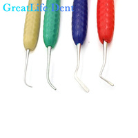 Kit d'instruments de restauration dentaire en résine composite Greatlife, outils manuels pour la restauration dentaire clinique et le remplissage des caries