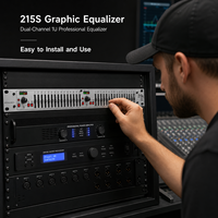Égaliseur graphique professionnel double 15 bandes AOFO 215S, processeur audio stéréo EQ, métal, actif, portable, pour scène, KTV, sonorisation PA