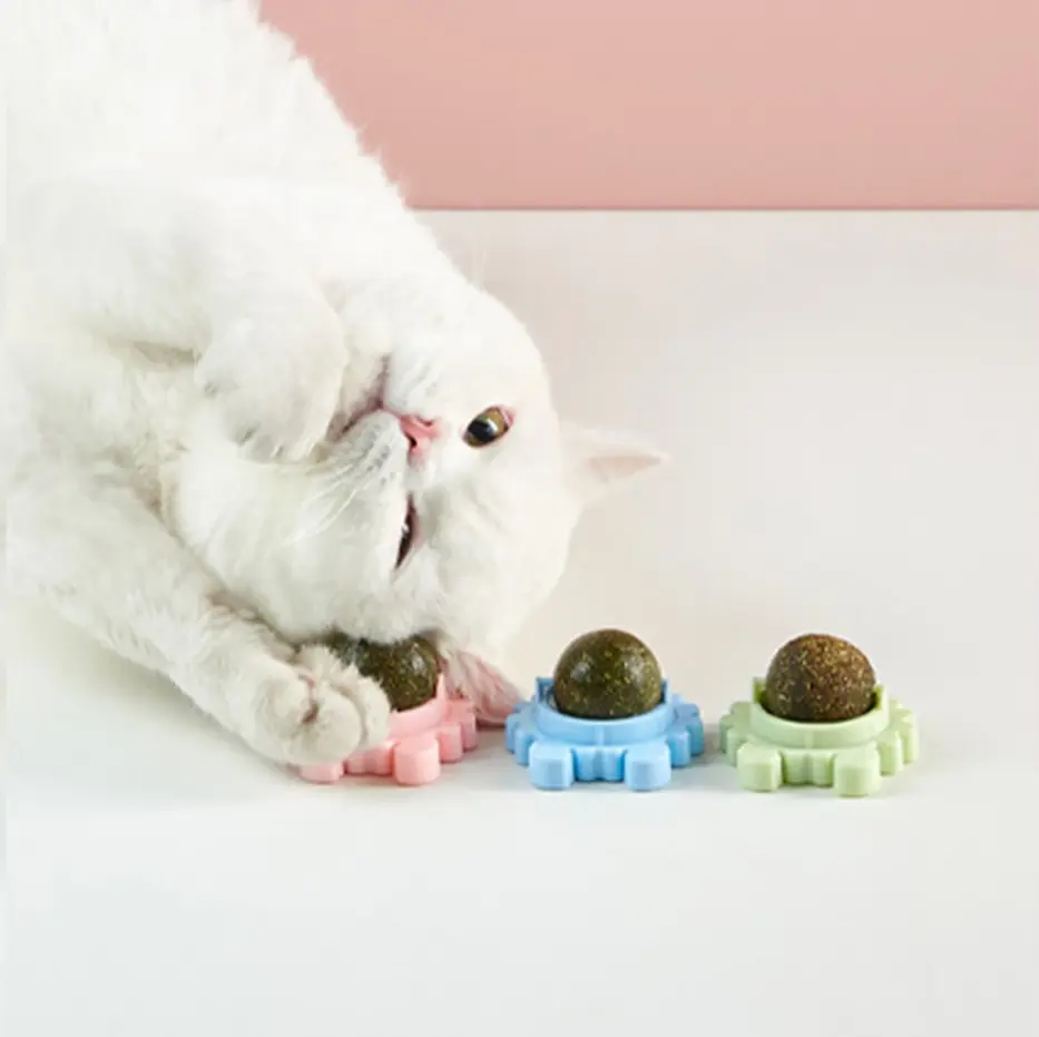 Rotatable Catnip Wall Ball Cat Treat Toys with Catnip Snack Licking Ball Kitten Pet Molar Edible Treating Cleaning Teeth Teasing