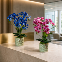 Orchidée Phalaenopsis Artificielle de Luxe Moderne au Toucher Réel, Bonsaï, Impression 3D, Orchidée Papillon Réaliste dans un Vase en Céramique pour la Décoration