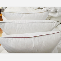 Vente chaude : Inserts de coussin en duvet et plumes d'oie et de canard pour un sommeil sain, qualité hôtelière 5 étoiles, pour hôtels et usage domestique