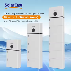 แบตเตอรี่ลิเธียมไอออน Lifepo4 แรงดันต่ำแบบออลอินวัน ยี่ห้อซันเรน โซลาร์อีสต์ รุ่นขายดีที่สุด สำหรับเก็บพลังงานภายในบ้าน - Product Image 6