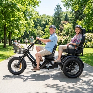 En promotion : <span class=keywords><strong>Tricycle</strong></span> électrique <span class=keywords><strong>adulte</strong></span> 750W, 60Ah, 3 roues, 48V, 1 batterie, tout-terrain, autonomie 200 km, <span class=keywords><strong>tricycle</strong></span> électrique longue portée - Product Image 1
