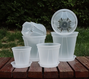 Set di 8 <span class=keywords><strong>Vasi</strong></span> <span class=keywords><strong>per</strong></span> <span class=keywords><strong>Orchidee</strong></span> Ecologici da 7 Pollici con Fori e Sottovasi in Plastica PP Trasparente <span class=keywords><strong>per</strong></span> Piante da Giardino - Product Image 6