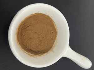 도매 건강 식품 등급 은행 잎 추출물 유기농 플라보노이드 테르펜 락톤 은행 추출물 분말 - Product Image 3