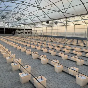חממה חוות הידרופוניקה מערכת פלסטיק כיכר הולנדי דליים שתילה/דלי לצמחים