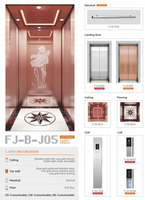 FUJI Home Residential Vertikale Villa Haus Front Elevation Design Aufzug Home Lift/kleiner Home Traction Elevator 260-400KG