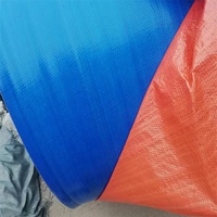 Bâche de haute qualité 120 GSM, largement utilisée, enduite de PE, imperméable, pour couverture de camion et de voiture, feuilles de plastique