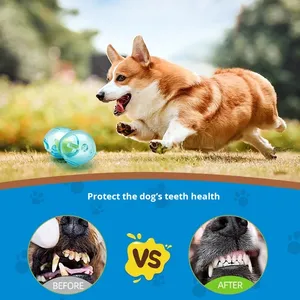 Durable Eco-Friendly Bear-Shaped Chew <strong>Toy</strong> for <strong>Dogs</strong> Indestructible Interactive <strong>Tennis</strong> <strong>Ball</strong> Teeth Cleaning Boredom Busters - Product Image 4