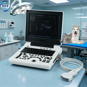 Pemindai Ultrasound hewan hewan dokter hewan Laptop PW Ultrasound portabel dengan <span class=keywords><strong>probe</strong></span> cembung/linear - Product Image 1