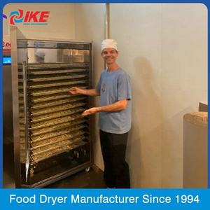 Equipo industrial de secado de alimentos IKE, secador de frutas y verduras, - Product Image 5