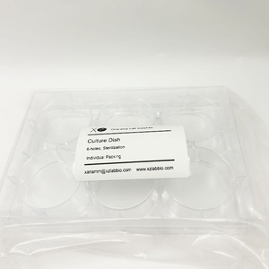 XZ Lab Supplies จานเพาะเชื้อ 6 หลุม ขนาด 150 มม. ผ่านการฆ่าเชื้อ บรรจุแยกชิ้น - Product Image 4