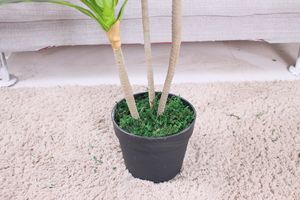 Arboles artificiales Dracaena Fragrans Plástico para interiores - Product Image 6