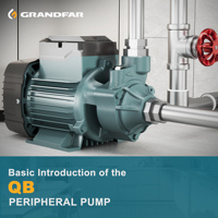 GRANDFAR QB50 125W 220V Pompe à Eau Périphérique Haute Pression avec Moteur en Cuivre Pur, Surpresseur Électrique de Surface