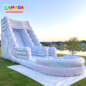 Tobogán Acuático Inflable Pastel Tie Dye, <span class=keywords><strong>Piscina</strong></span> Inflable, <span class=keywords><strong>Casa</strong></span> de Brinco Inflable, Tobogán Acuático Inflable Grande - Product Image 1