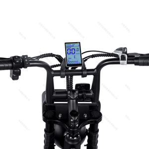 Ruihe H9จักรยานไขมันไฟฟ้า20นิ้วดีไซน์ใหม่มอเตอร์1000W ตำแหน่งฮับมอเตอร์48V แบตเตอรี่ลิเธียมแหล่งจ่ายไฟระบบดิสก์เบรก - Product Image 2