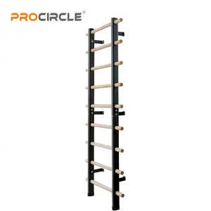 Swl02 Home Gym Muur Ladder Staal & Hout Gym Zweeds Ladder Voor Kinderen En Volwassenen Sportuitrusting