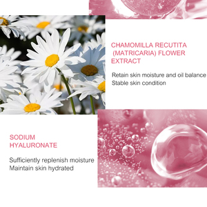 Meilleures Ventes Version Anglaise Coffret de Soins de la Peau 3 en 1 Anti-Âge Revitalisant à la Niacinamide Éclaircissante Hydratante Avocat et Acide Hyaluronique - Product Image 4
