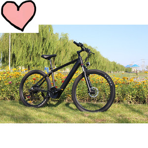 Kit de bicicleta eléctrica de montaña, bici con suspensión completa, neumáticos anchos 26, 350W, tailandesa <span class=keywords><strong>foxter</strong></span> - Product Image 3