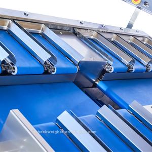 automatisches wiege-ausgleichsgewicht chargegewicht kombiniertes gewicht - Product Image 4