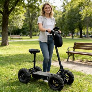 Scooter électrique tout-terrain 4x4 à 4 roues 800/1000/1200/1500w - Product Image 5