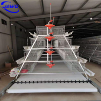 Cage à poulet en acier inoxydable 200 pour les poules et les bébés poussins, caisse en bois, produit chaud fourni, poulailler à 20 poules pondeuses