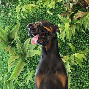 Bozal antimordedura para perros y mascotas, dispositivo antiladridos de TPE y nailon, OEM de fábrica - Product Image 1