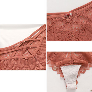 Romantische Damen-Sexy-Unterwäsche mit Kreuzriemen, mittelhoher Taille, Stickerei, floralem, durchsichtigem Design, erotische Höschen, Dessous - Product Image 6