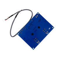 Carte amplificateur Audio numérique haute puissance TPA3116D2 amplificateur de puissance numérique bricolage double canal pour les amateurs d'audio