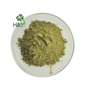 Tedarik yüksek kalite zeytin yaprağı özü 20% 70% Oleuropein - Product Image 3