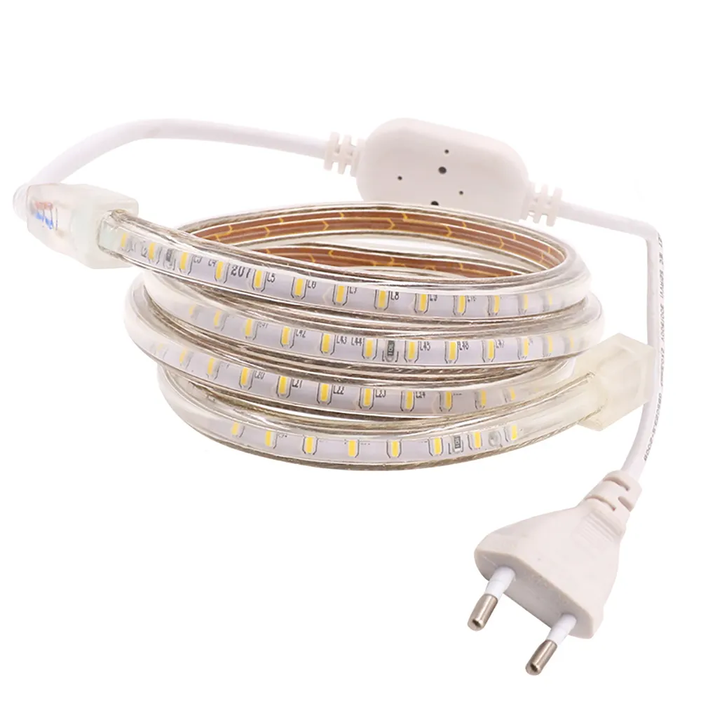 120Led/m SMD 3014 2835 Led striscia di luce 220V 5050 60led 1m 5m 10m 15m 20m 25m 50m 100m spina di alimentazione impermeabile luci Led di illuminazione