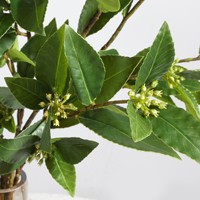 Daun Osmanthus Laurel Buatan, Ranting Hijau, Bahan Kawat, Bunga Buatan untuk Pernikahan, Fotografi Luar Ruangan, Dekorasi Rumah