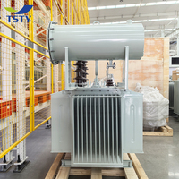 Transformador de Distribución de Aceite TSTY 22kv/0.416kv 630KVA 1000KVA 1250KVA Transformador Eléctrico