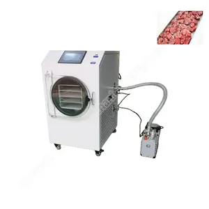 Máquina orgânica de pó de frutas liofilizadas, mini máquina de liofilização, liofilizadora