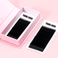 Extensions de cils volume coréens PBT personnalisables avec logo, courbures C/D/LC/BC, 0.03-0.05mm, Easy Fan, véganes, sans cruauté animale, fini mat