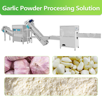 ODM Knoflookpoeder Productielijn Knoflookpoeder Turnkey Productielijn Knoflookpoeder Productiemachine