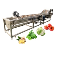 Commerciële Industriële Bubble Fruit Avocado Mango Groente Aardappel Wasmachine/Bevroren Groente Productielijn