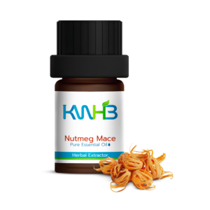 Aceite Esencial Puro de Nuez Moscada y Mace KWHB 5ml, Extractor Herbal para Uso Doméstico, Producto de Tailandia - Product Image 1