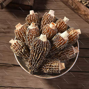 Hongo Morchella cultivado seco Venta directa de fábrica Hongo Morel seco de larga duración - Product Image 2