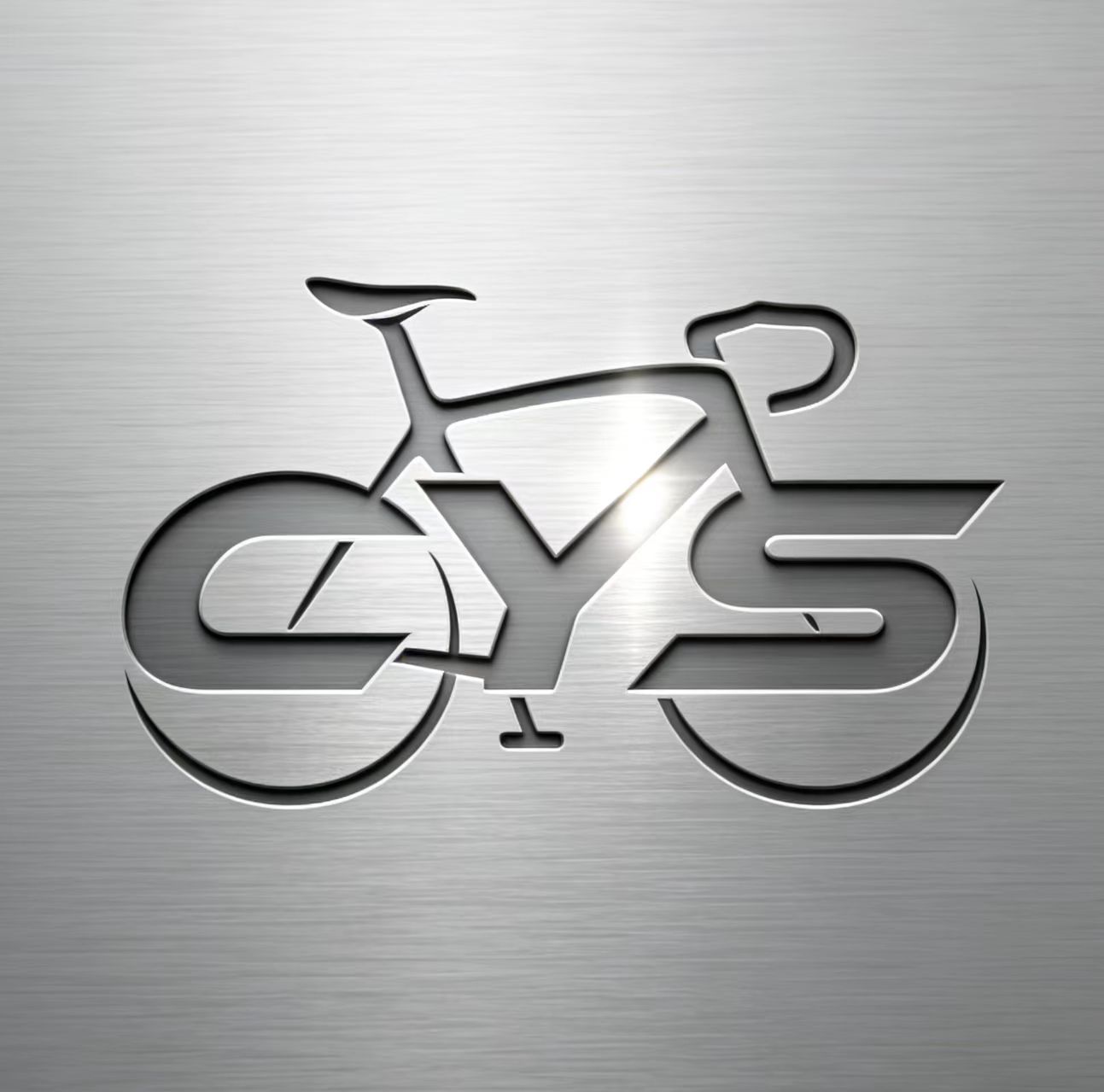 Beijing Chengyongsheng Trading Co., Ltd. logo